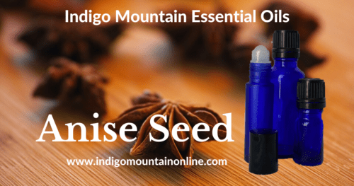 Anise Seed Essential Oil