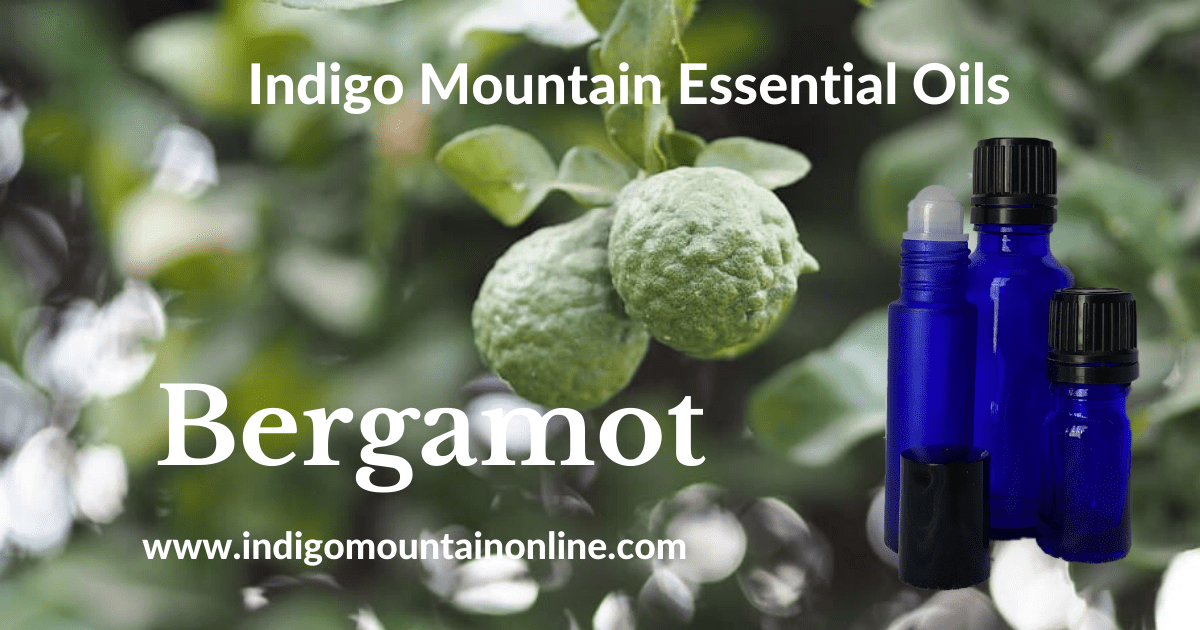 Bergamot Essential Oil