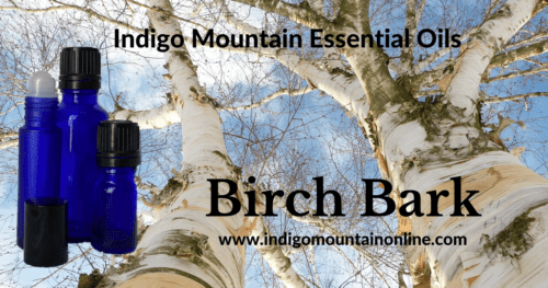 Birch Bark Essential Oil