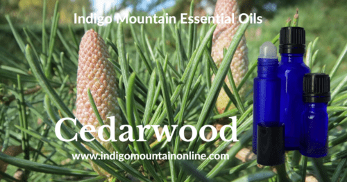 Cedarwood Essential Oil