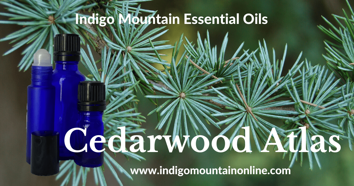 Cedarwood Atlas Essential Oil