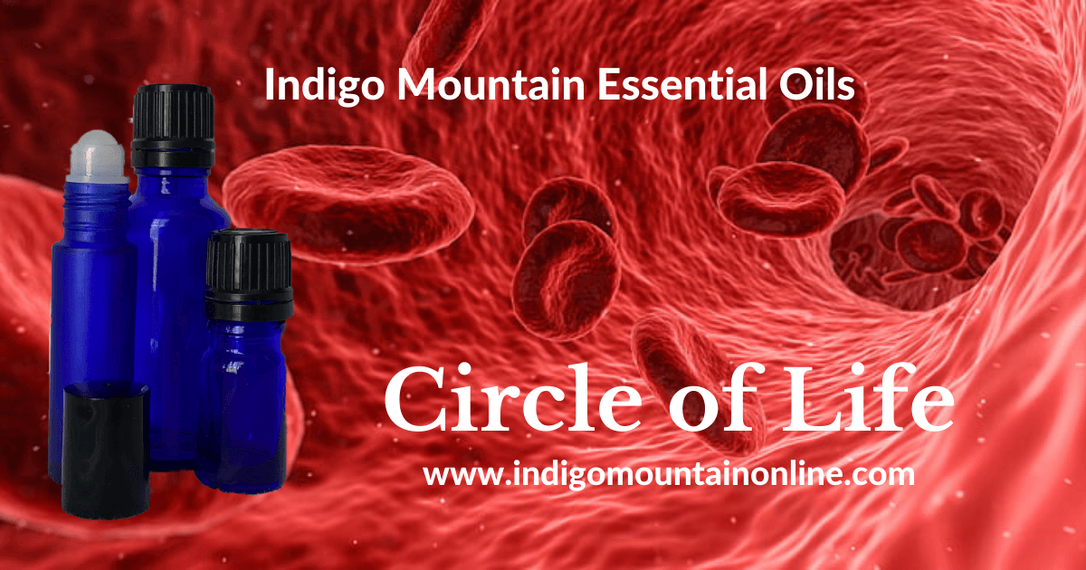 Circle of Life Essential Oil Synergy