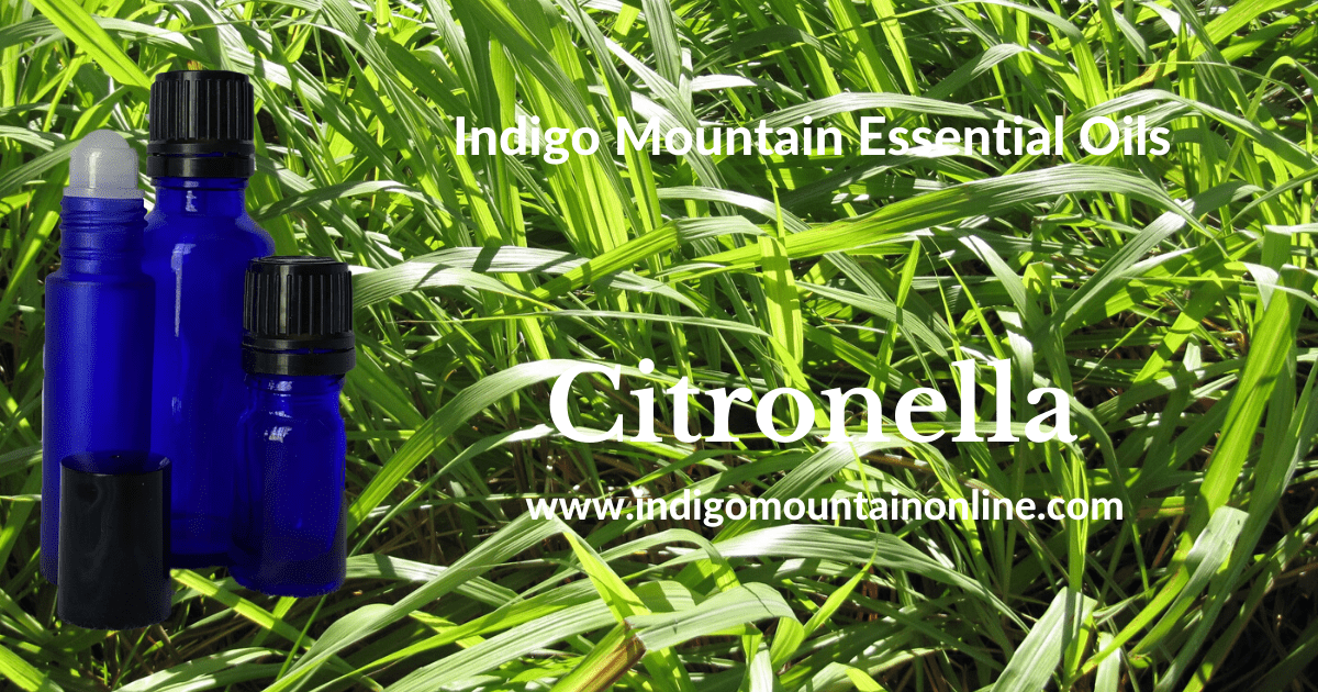 Citronella Essential Oil