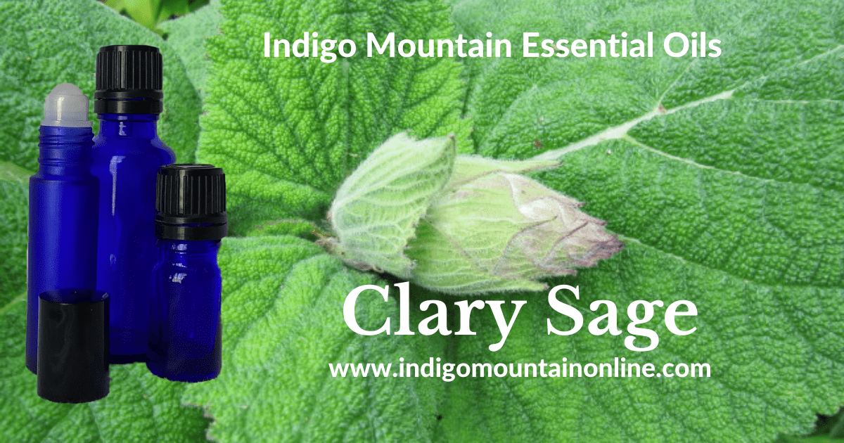 Clary Sage Essential Oil