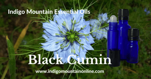 Black Cumin Essential Oil