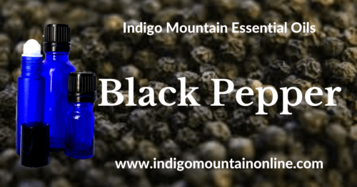 Black Pepper Essential Oil