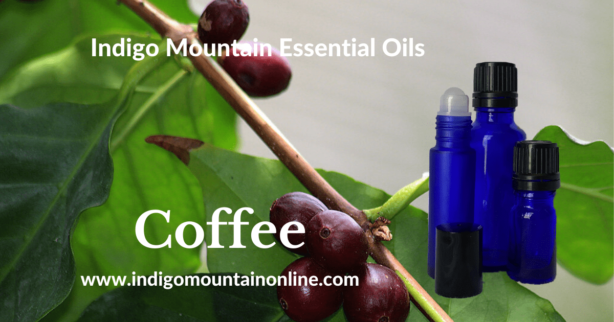 Coffee Essential Oil