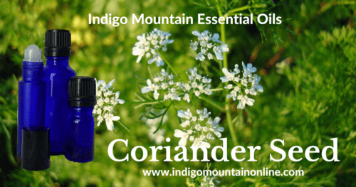 Coriander Seed Essential Oil