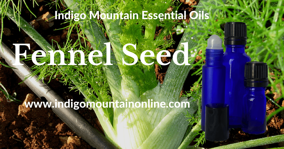 Fennel Seed Essential Oil