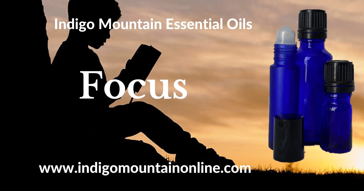 Focus Essential Oil Synergy