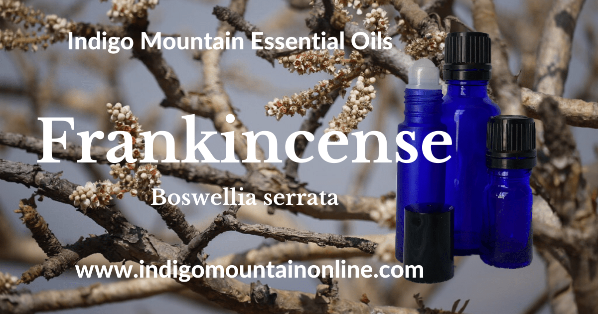 Frankincense Essential Oil