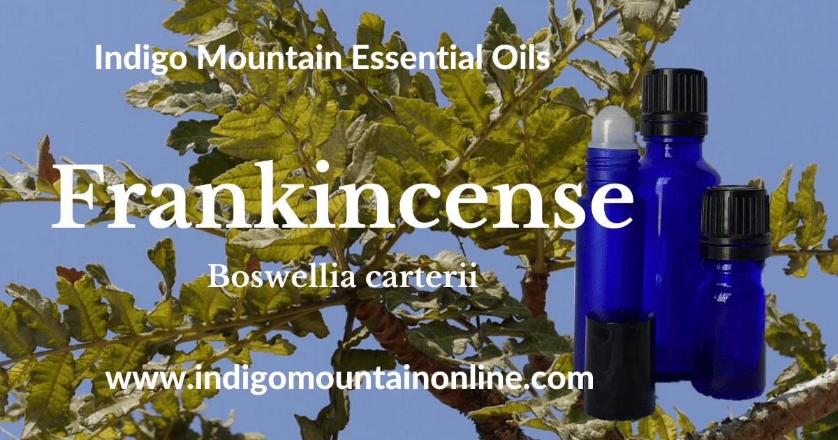 Frankincense Essential Oil