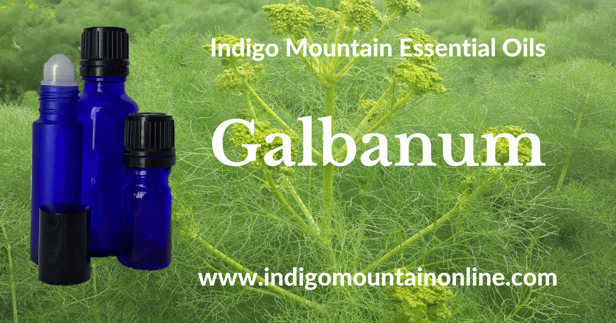 Galbanum Essential oil