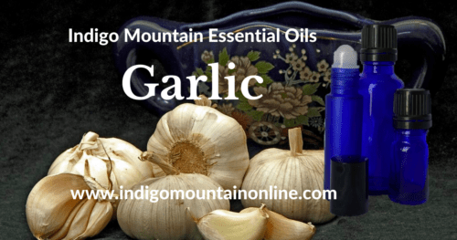 Garlic Essential Oil