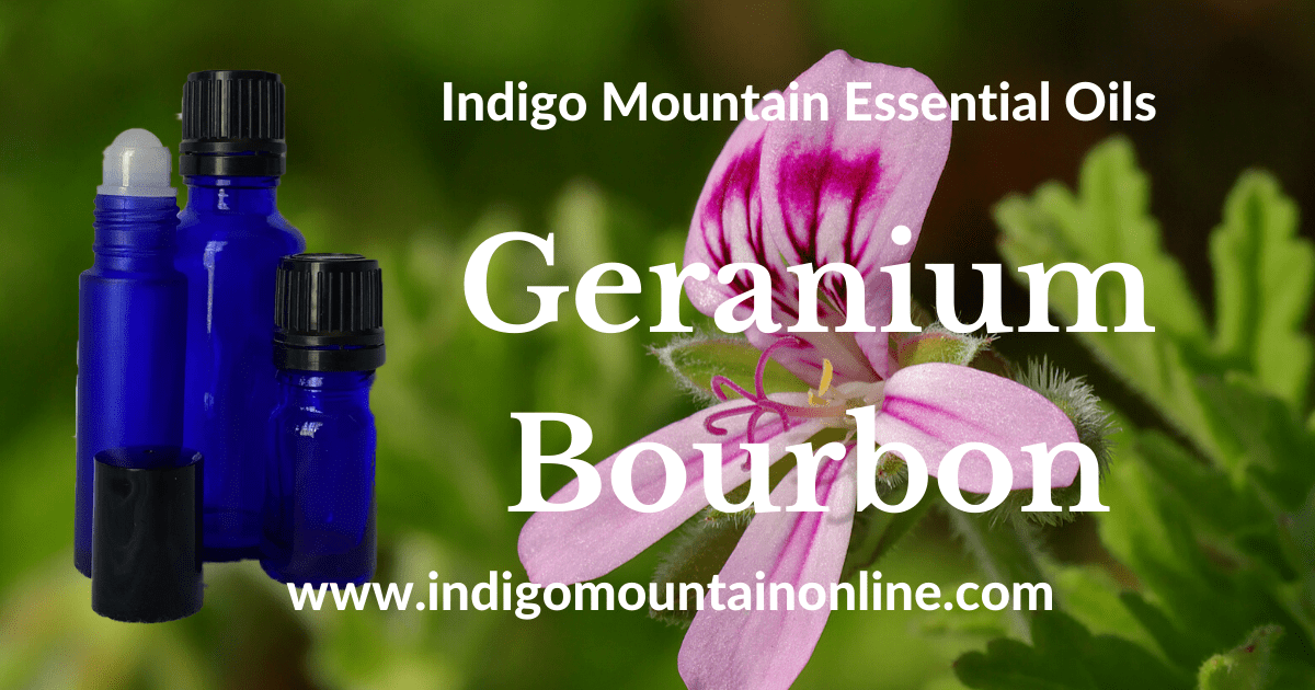 Geranium Bourbon Essential Oil