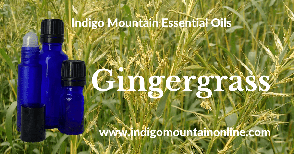 Gingergrass Essential Oil