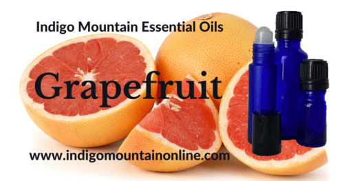 Grapefruit Essential Oil