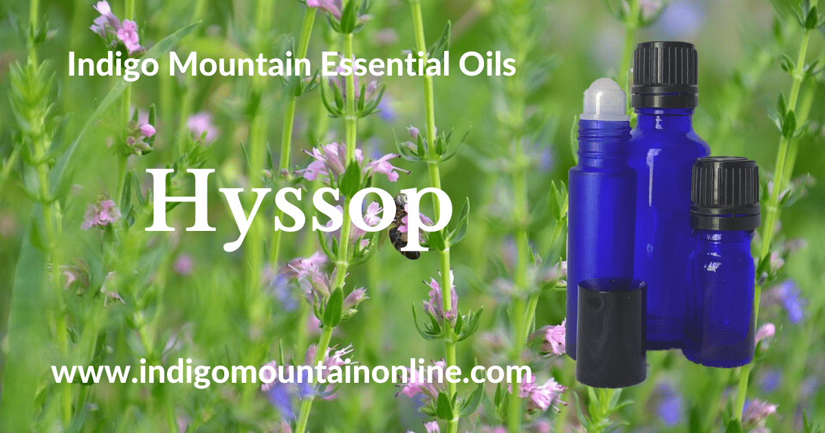 Hyssop Essential Oil