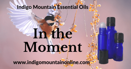 In the Moment Essential Oil Synergy