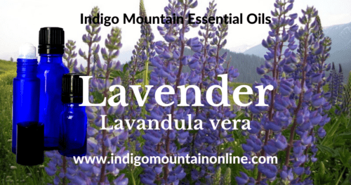 Lavender Essential Oil