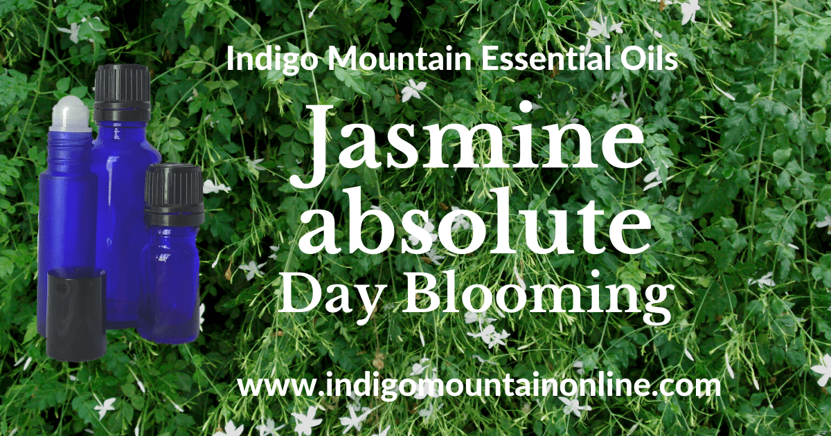 Jasmine absolute Essential Oil