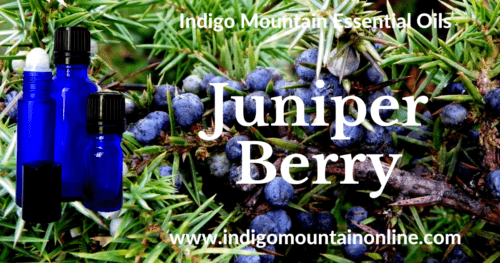 Juniper Berry Essential Oil