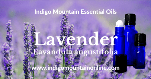 Lavender Essential Oil