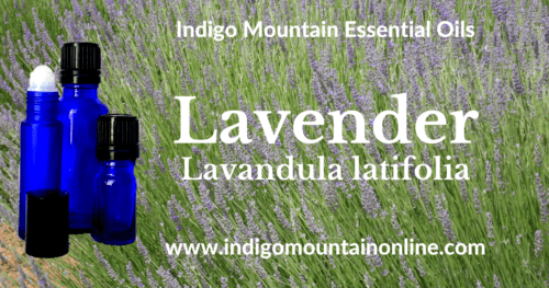 Lavender Essential Oil