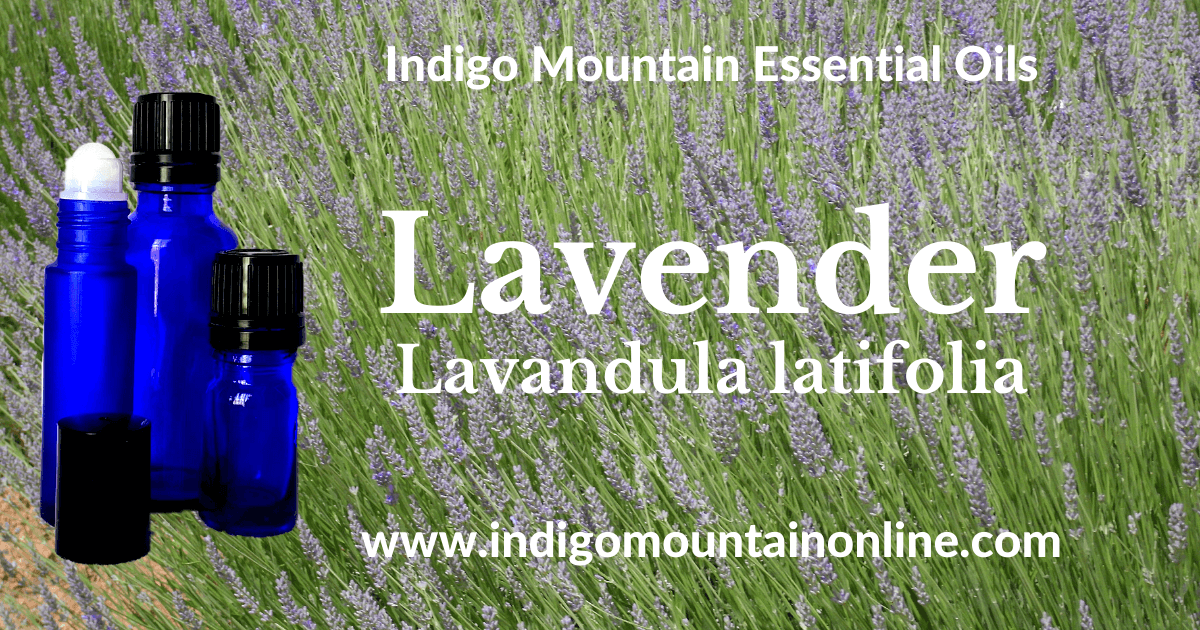 Lavender Essential Oil