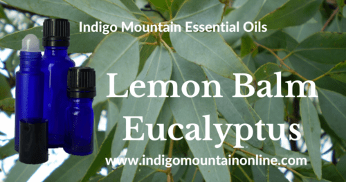 Lemon Balm Eucalyptus Essential Oil