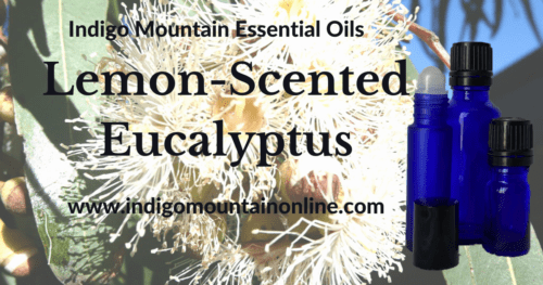 Lemon-Scented Eucalyptus Essential Oil