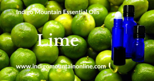 Lime Essential Oil