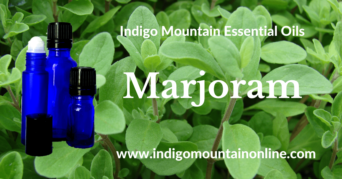 Marjoram Essential Oil