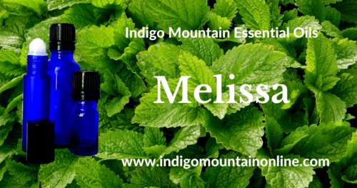 Melissa Essential Oil