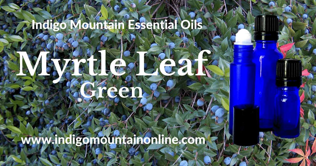 Myrtle Leaf Essential Oil