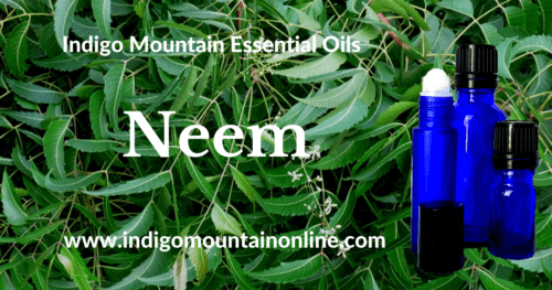 Neem Essential Oil