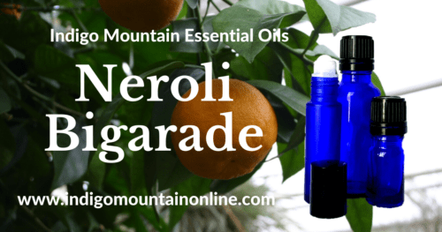 Neroli Essential Oil