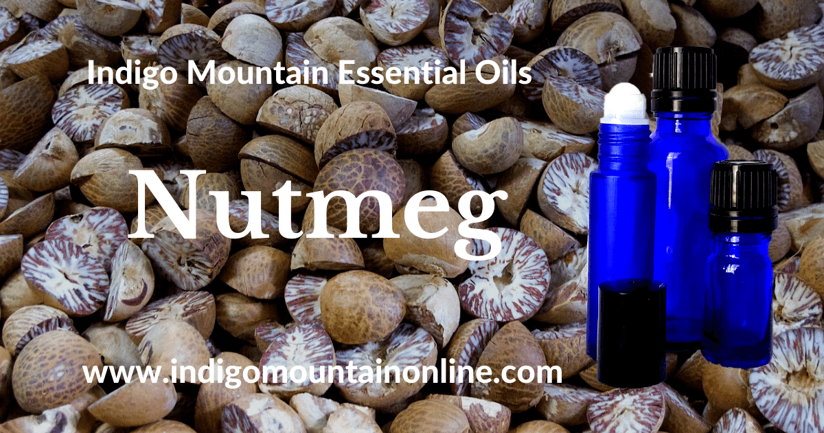 Nutmeg Essential Oil