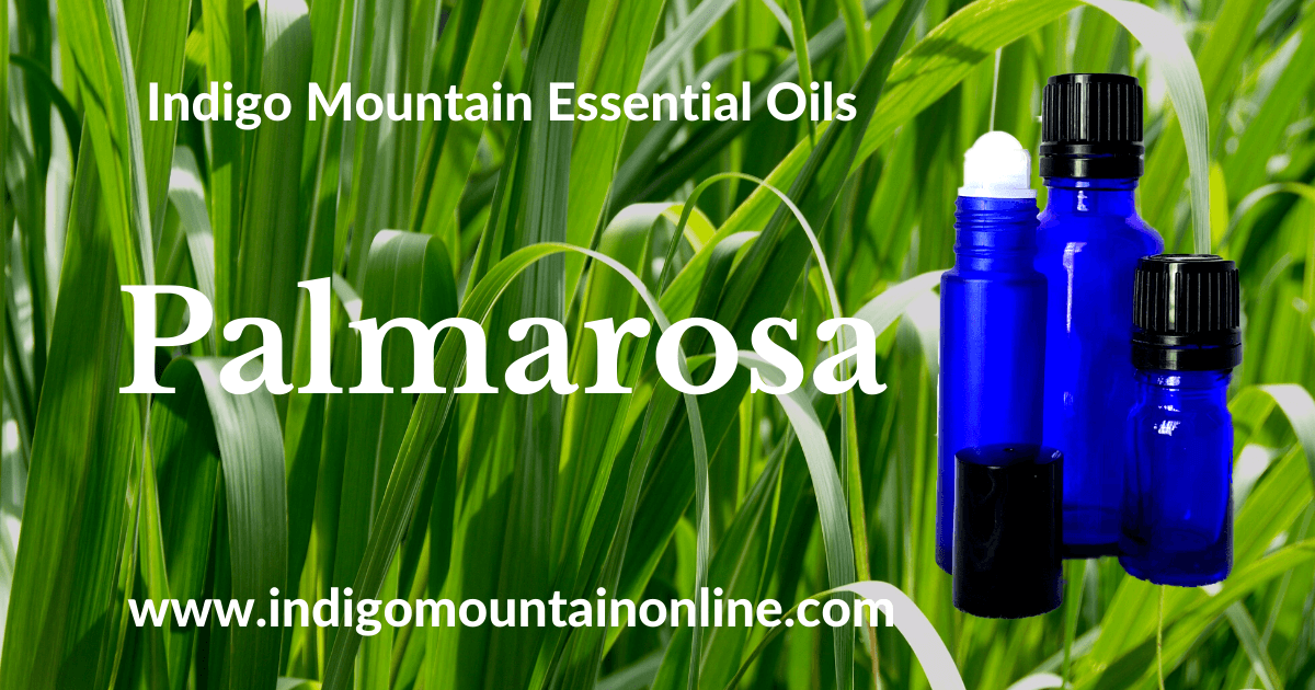 Palmarosa Essential Oil