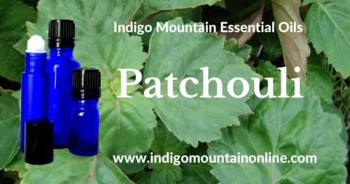 Patchouli Essential Oil