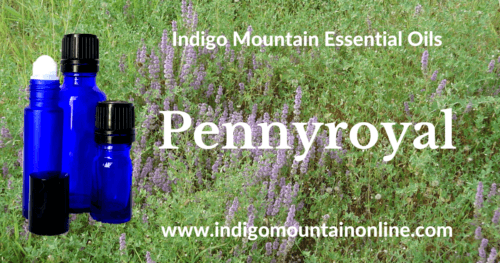 Pennyroyal Essential Oil