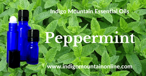 Peppermint Essential Oil