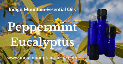 Peppermint Eucalyptus Essential Oil