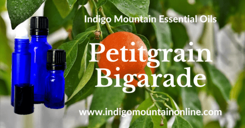 Petitgrain Bigarade Essential Oil