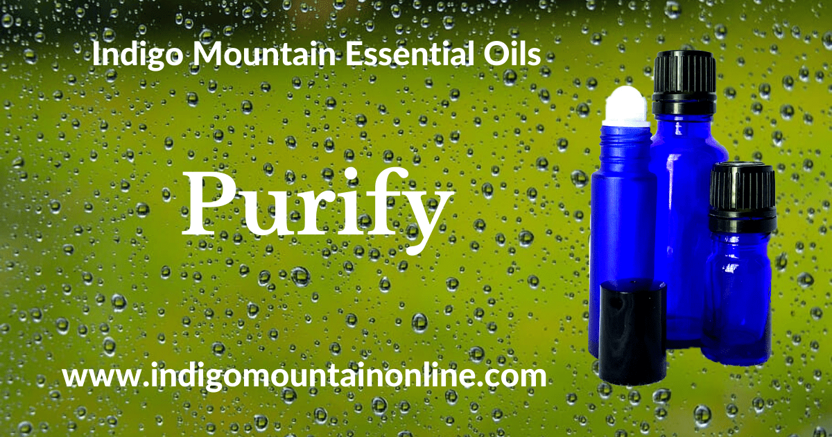 Purify Essential Oil Synergy