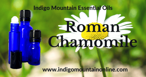 Roman Chamomile Essential Oil