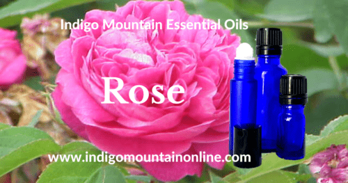 Rose Essential Oil