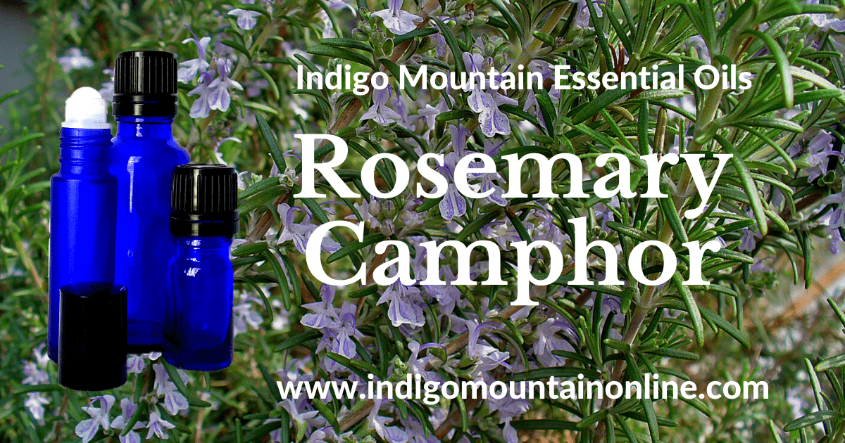 Rosemary Essential Oil