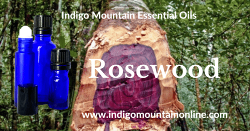 Rosewood Essential Oil