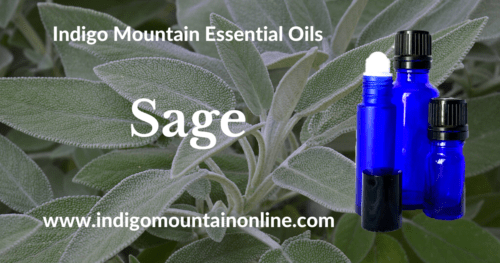 Sage Essential Oil